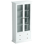 Шкаф-витрина Droletina варинант исполнения - 1 | Loft Concept в Саратове