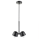 Подвесной светильник черный с 2-мя плафонами Pendant lamp Black варинант исполнения - 1 | Loft Concept в Саратове