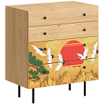 Комод с принтом на ящиках Elise Chest of Drawers варинант исполнения - 4 | Loft Concept в Саратове