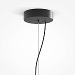 Подвесной светильник Rare grapes варинант исполнения - 4 | Loft Concept в Саратове