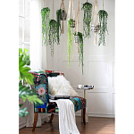 Диван Mesotrope варинант исполнения - 7 | Loft Concept в Саратове