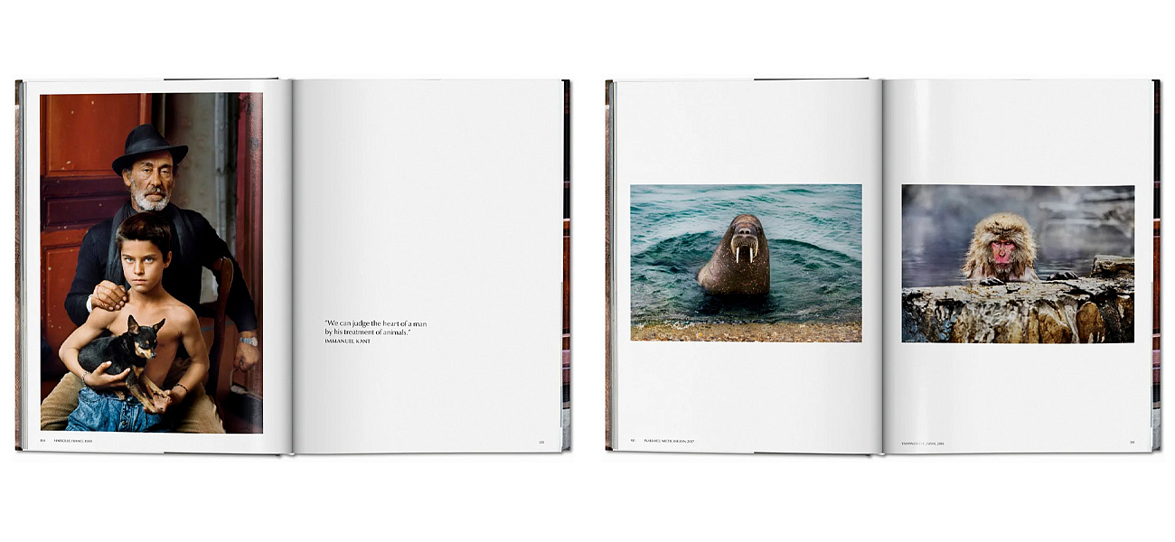 Steve McCurry. Animals Steve McCurry. Animals - Loft-Concept в Саратове