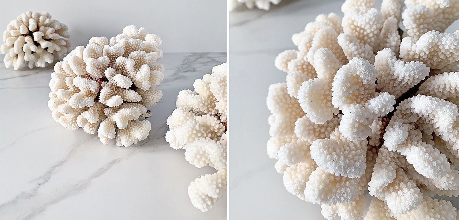 Статуэтка Brownstem Coral Статуэтка Brownstem Coral - Loft-Concept в Саратове