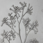 Панно Лесной цветок варинант исполнения - 4 | Loft Concept в Саратове