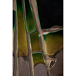 Панно «Амазония» варинант исполнения - 3 | Loft Concept в Саратове