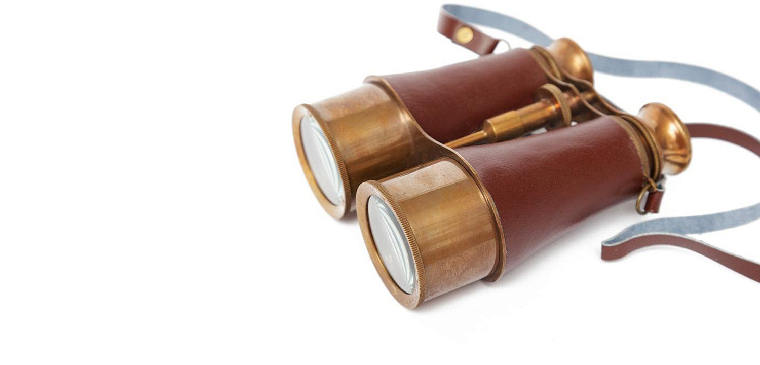 Винтажный бинокль в подарочной коробке Victorian Era Brass Binoculars - Loft-Concept в Саратове