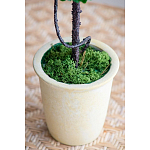 Декоративный искусственное растение Single boxwood варинант исполнения - 6 | Loft Concept в Саратове