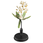 Статуэтка Wonderboom варинант исполнения - 2 | Loft Concept в Саратове