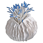 Статуэтка тропический фрукт Tropical Fruit White Blue варинант исполнения - 2 | Loft Concept в Саратове