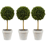 Декоративный искусственное растение Boxwood One варинант исполнения - 1 | Loft Concept в Саратове