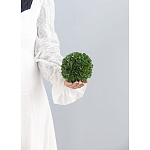 Декоративный искусственное растение Small boxwood варинант исполнения - 3 | Loft Concept в Саратове