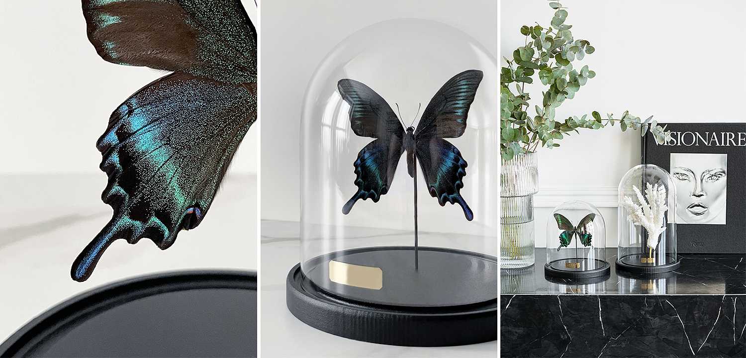 Статуэтка Butterfly Sailboat Maaka Glass Cloche Статуэтка Butterfly Sailboat Maaka Glass Cloche - Loft-Concept в Саратове