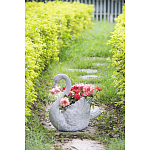 Кашпо The Proud Swan варинант исполнения - 6 | Loft Concept в Саратове