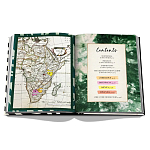 Подарочнный коллекционный фото альбом AFRICAN ADVENTURES NEW 2023 ASSOULINE HC UNBELIEVABLE ILLUSTRATIONS Safari варинант исполнения - 4 | Loft Concept в Саратове