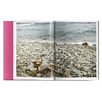 Книга Gisele Bundchen варинант исполнения - 9 | Loft Concept в Саратове