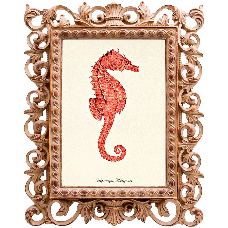 Постер Red Seahorse Poster Бежевый Красный Постер Red Seahorse Poster Бежевый Красный в Саратове | Loft Concept