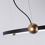 Люстра подвесная светодиодная черный металл Ring Horizontal варинант исполнения - 4 | Loft Concept в Саратове