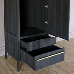 Узкий Шкаф Primo с 2 выдвижными ящиками Черный дуб варинант исполнения - 5 | Loft Concept в Саратове