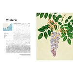 Прекрасно иллюстрированная книга более 100 ботанических произведений Plant Hunters Atlas варинант исполнения - 4 | Loft Concept в Саратове