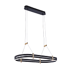 Люстра светодиодная в форме овала из акрила и алюминия с пультом для регулировки света Ring Horizontal Anthracite варинант исполнения - 2 | Loft Concept в Саратове