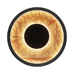 Бра круглое Gold Sun Lighting  варинант исполнения - 1 | Loft Concept в Саратове