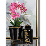 Кашпо Black design варинант исполнения - 5 | Loft Concept в Саратове