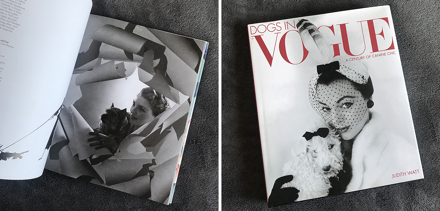 Dogs in Vogue A Century of Canine Chic Dogs in Vogue A Century of Canine Chic - Loft-Concept в Саратове