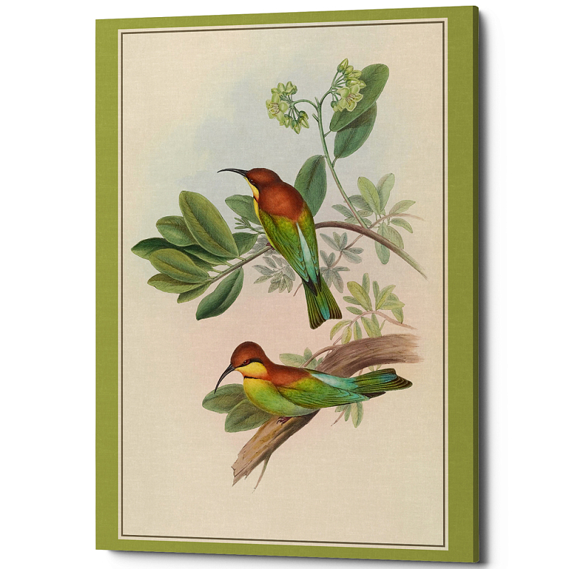 Постер на холсте с изображением птиц Blooming Birds Poster Бежевый Салатовый Мульти Постер на холсте с изображением птиц Blooming Birds Poster Бежевый Салатовый Мульти в Саратове | Loft Concept