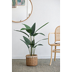 Декоративный искусственное растение Decor Stile  варинант исполнения - 5 | Loft Concept в Саратове