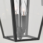 Настенный фонарь черного цвета с прозрачным стеклянным плафоном трапециевидной формы Hinkley варинант исполнения - 4 | Loft Concept в Саратове