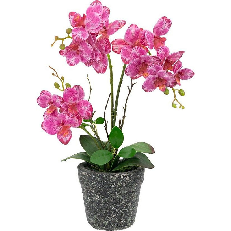 Декоративный искусственное растение Pink orchid Зеленый Черный Розовый Декоративный искусственное растение Pink orchid Зеленый Черный Розовый в Саратове | Loft Concept